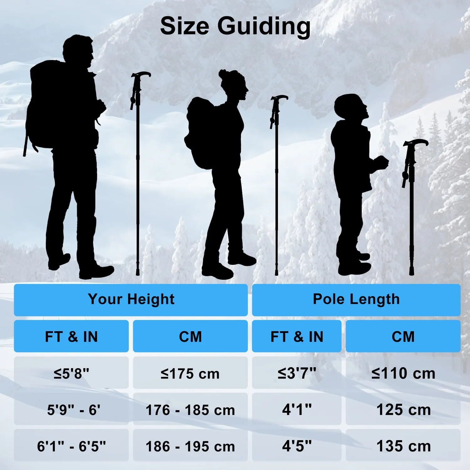 2 Pack Lightweight Trekking Poles